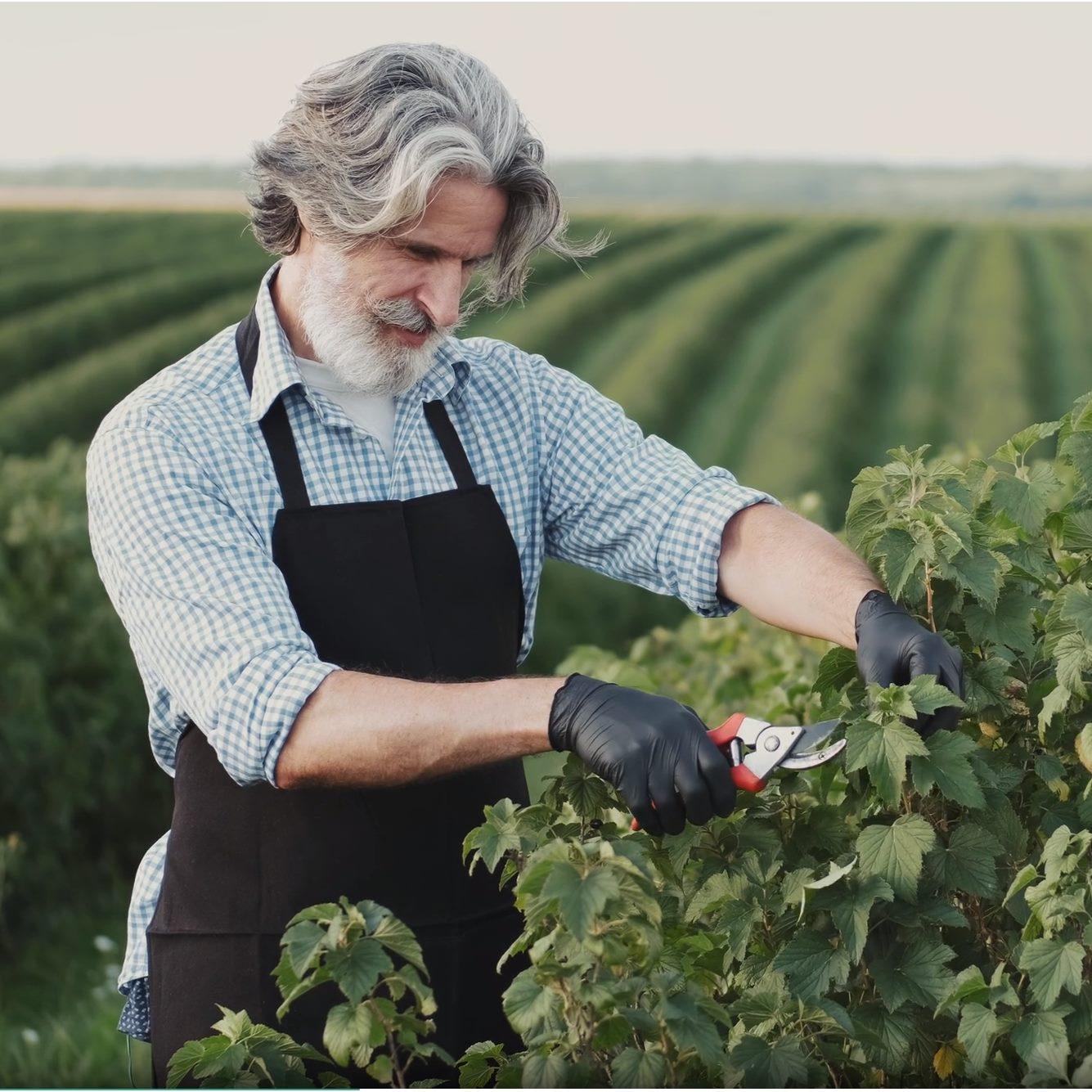 The Ultimate Guide to Choosing the Best Garden Pruners for Your Needs